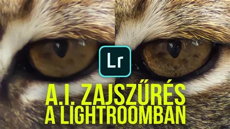 Zajszűrés beállításai Lightroomban
