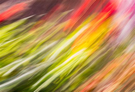 Példa kompozit képre, ahol a háttér fekete-fehér, a téma színes