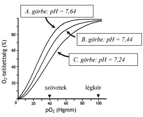 Görbe grafikon magyarázata
