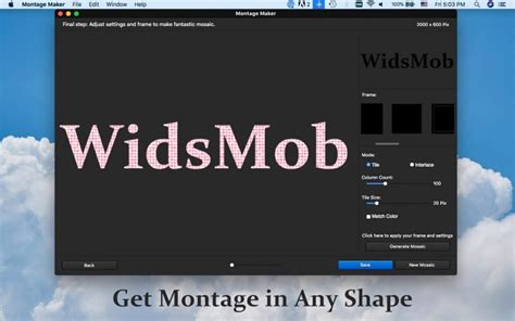 WidsMob Montage program felülete