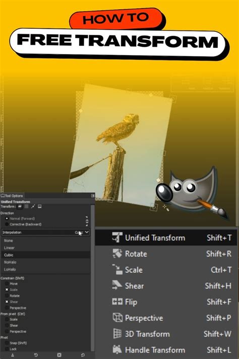 A Free Transform eszköz használata a réteg átméretezéséhez
