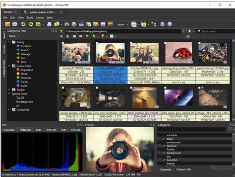 XnView MP felülete több lapfüles nézettel