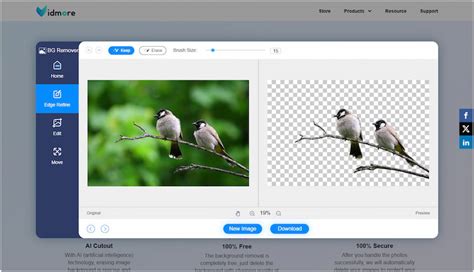 Vidmore Background Remover Online felület