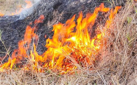 Sörteecset tűz illusztrációhoz