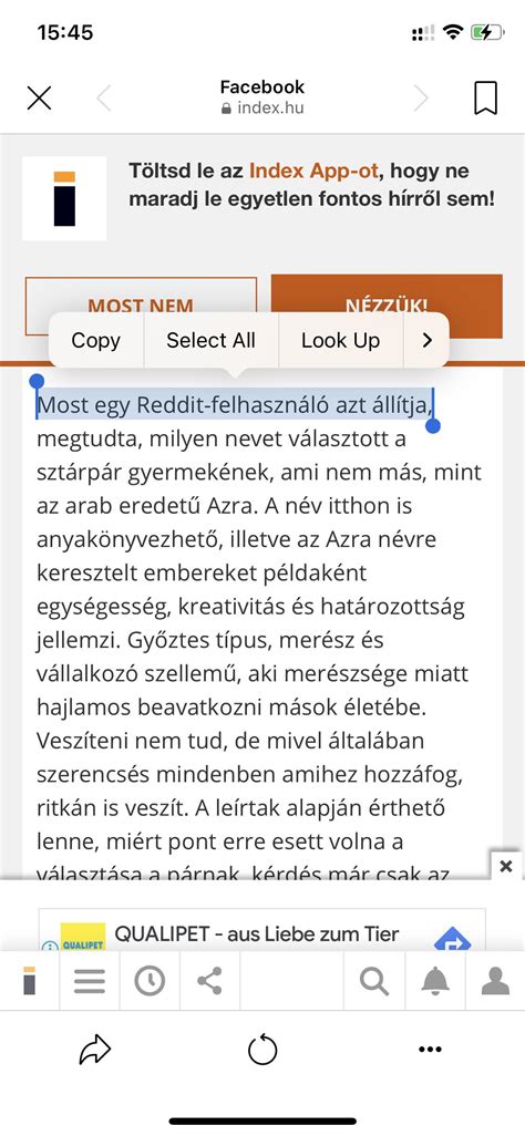 A Háttér réteg neve 