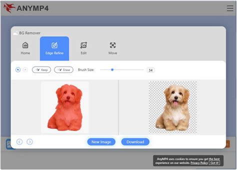 Illusztráció az AnyMP4 Background Remover Online felületéről