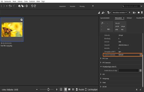 Metaadatok kezelése Adobe Bridge-ben