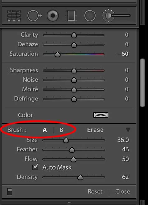 Lightroom Adjustment Brush tool
