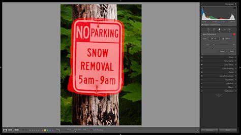 Lightroom Generative Remove tool example
