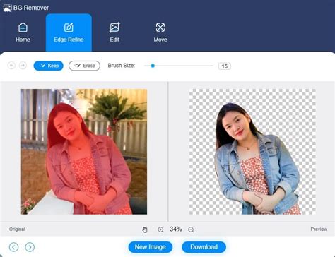 Vidmore Background Remover felület