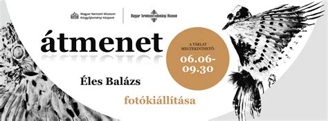 Atmenet huzasa a padlohoz