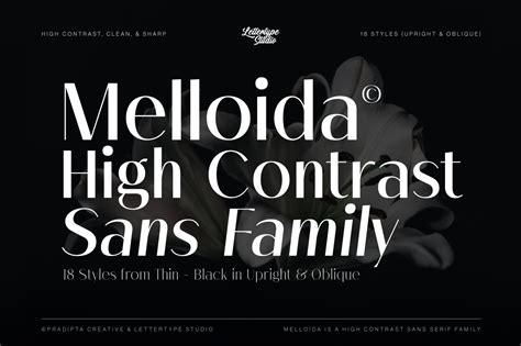 Melloida DEMO by Lettertype Studio
