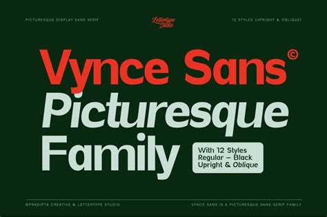 Vynce Sans Demo by Lettertype Studio