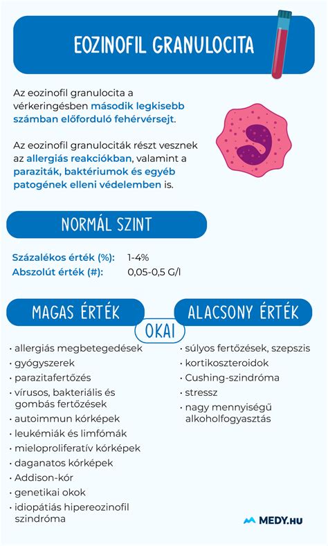 Infografika a csatolt és beágyazott fájlok különbségeiről