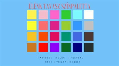 Színpaletta kontrasztos és harmonikus színekkel