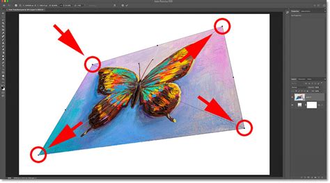 Photoshop Free Transform eszközök