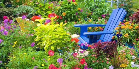 Növények értékelése és kiválasztása