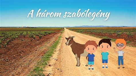 A három Lasszó eszköz összehasonlítása