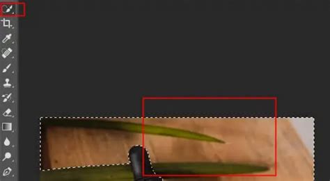 Photoshop vs Vidmore Background Remover