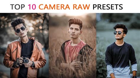 Camera Raw Presets panel
