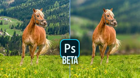 Rétegek használata a háttér elmosásához Photoshopban