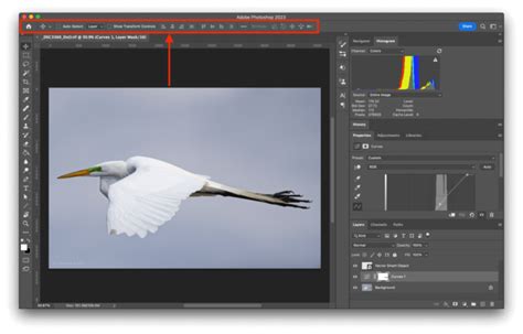 Photoshop Options Bar