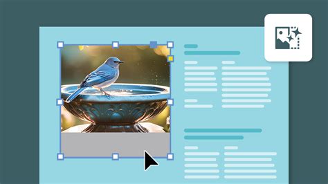 Adobe InDesign felhasználói felület és funkciók