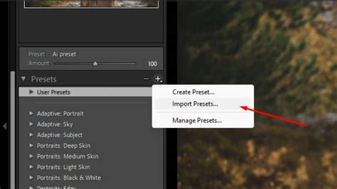 Lightroom presets panel