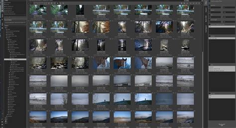 A Darktable és a RawTherapee felületének összehasonlítása