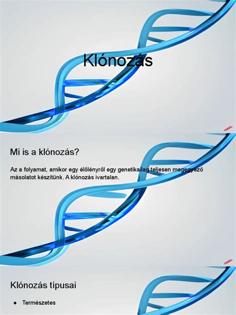 Klónozás Forrása panel Photoshopban
