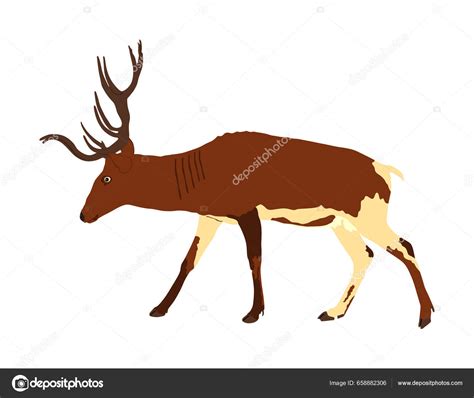 Illusztráció a háttér eltávolításáról Illustratorban