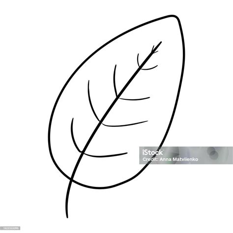 Kézzel rajzolt nyílecbsetek Photoshopban