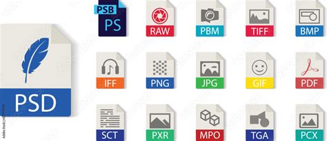 Különböző fájlformátumok ikonjai (AI, PNG, PDF, TIFF, EPS)