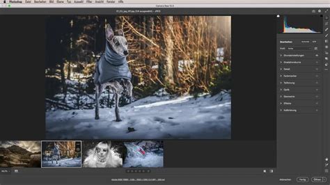 Adobe Camera Raw felület