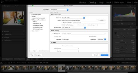Lightroom Export Dialog Interface