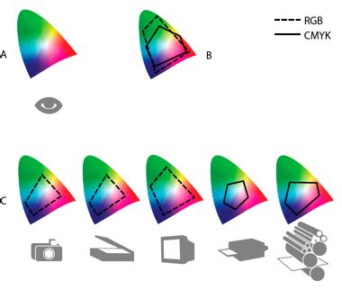 Különböző kiválasztó eszközök a Photoshopban