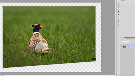 Réteg átméretezése a Photoshopban