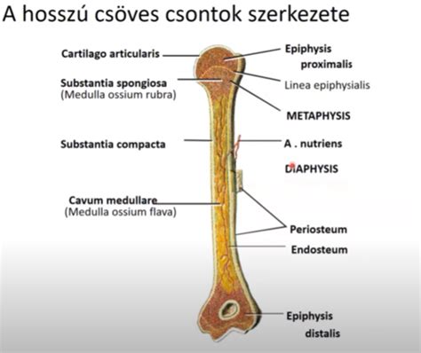 Smart Object réteg szerkezete